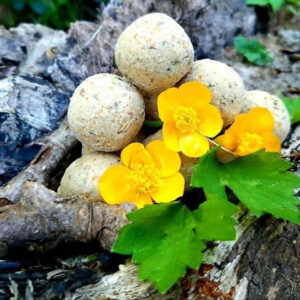 Bouillettes Alpha soluble 20mm