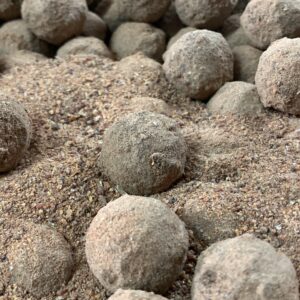 Hookbaits Amino Blend Médusa