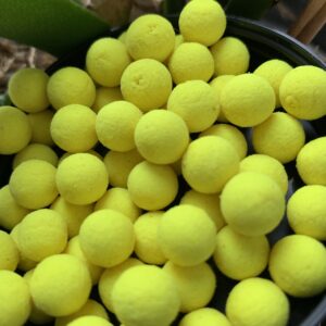 Micro pop up 8 mm couleur au choix