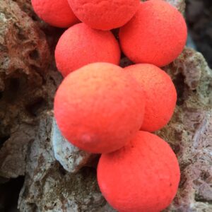 Pop up couleur saumon