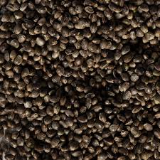 chanvre moulu torréfié